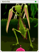 Mantis Card
