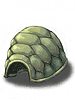 Broken Turtle Shell