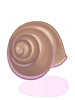 Snail's Shell