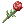 Witherless Rose